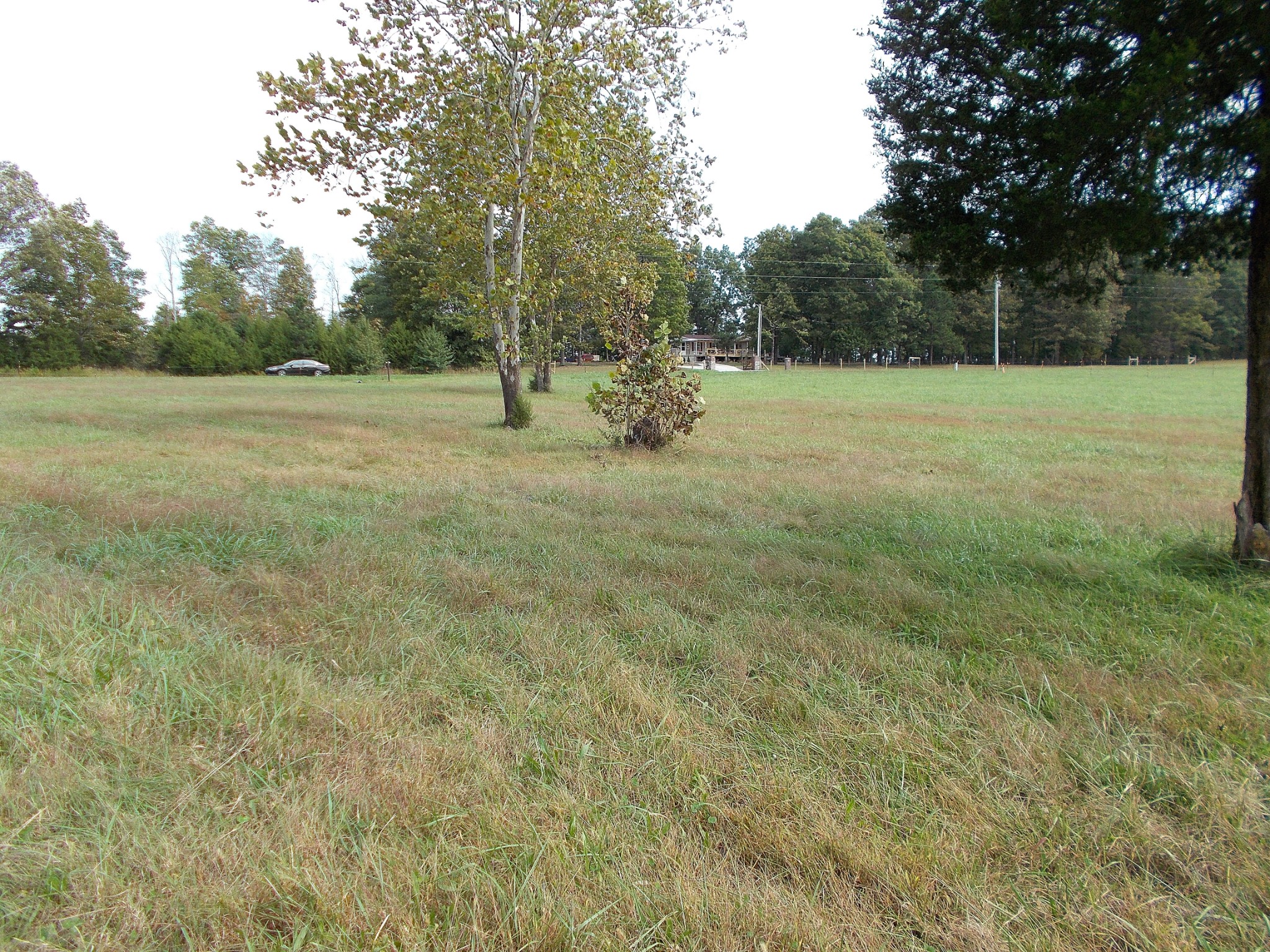 0 Keys Branch Road Nunnelly, TN 37137 - Photo 21 of 25 Gallery Image 21