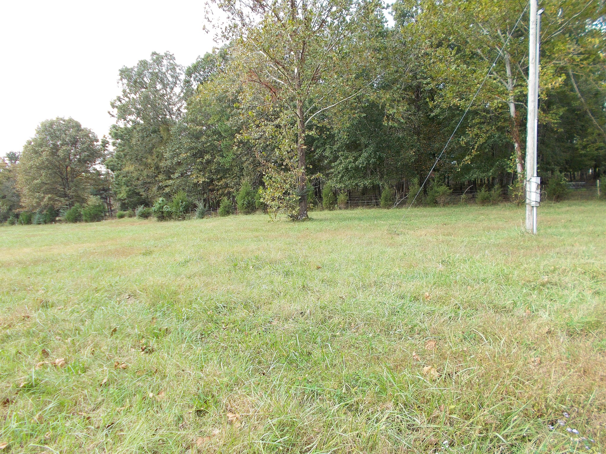 0 Keys Branch Road Nunnelly, TN 37137 - Photo 23 of 25 Gallery Image 23