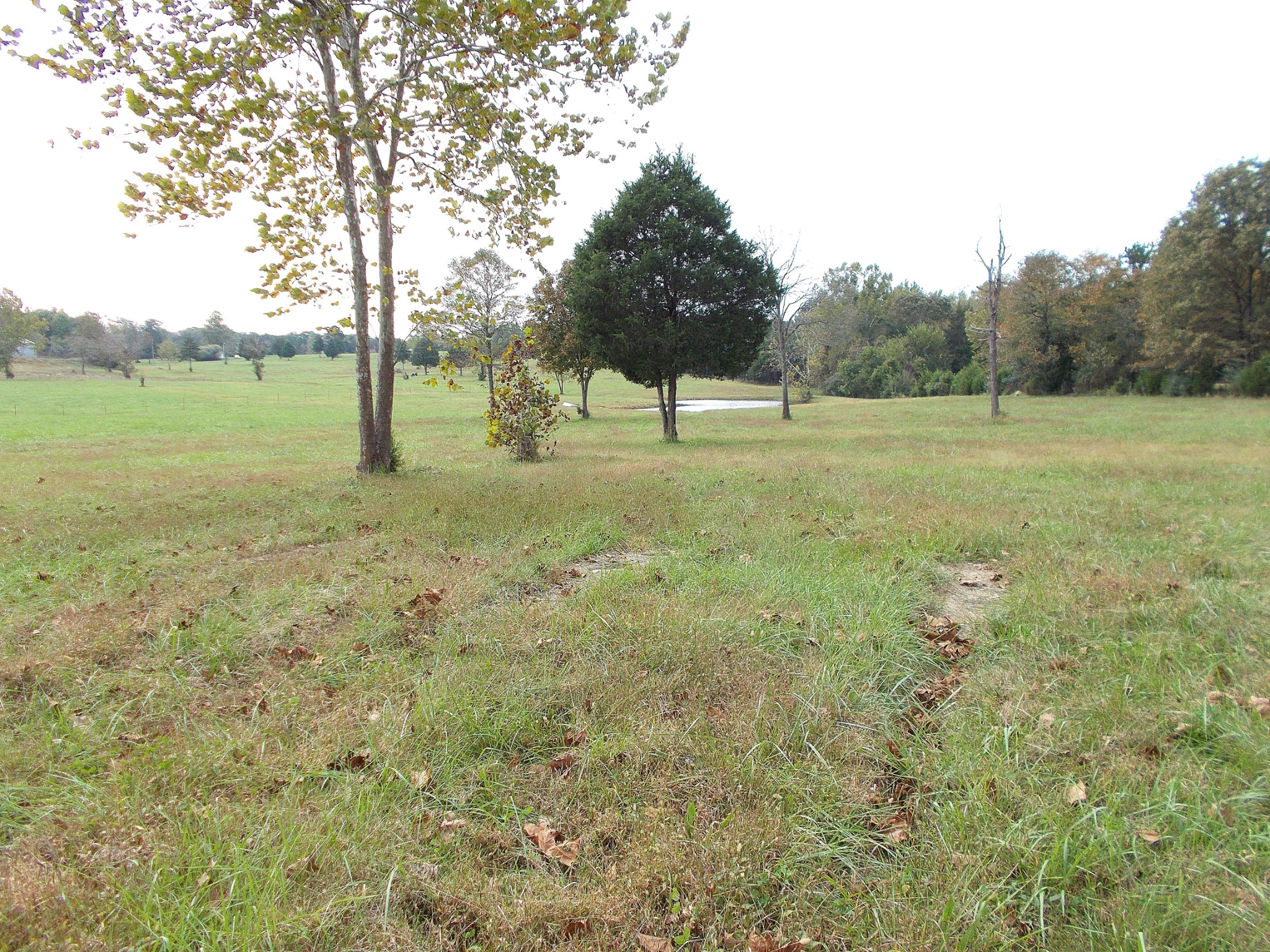 0 Keys Branch Road Nunnelly, TN 37137 - Photo 24 of 25 Gallery Image 24