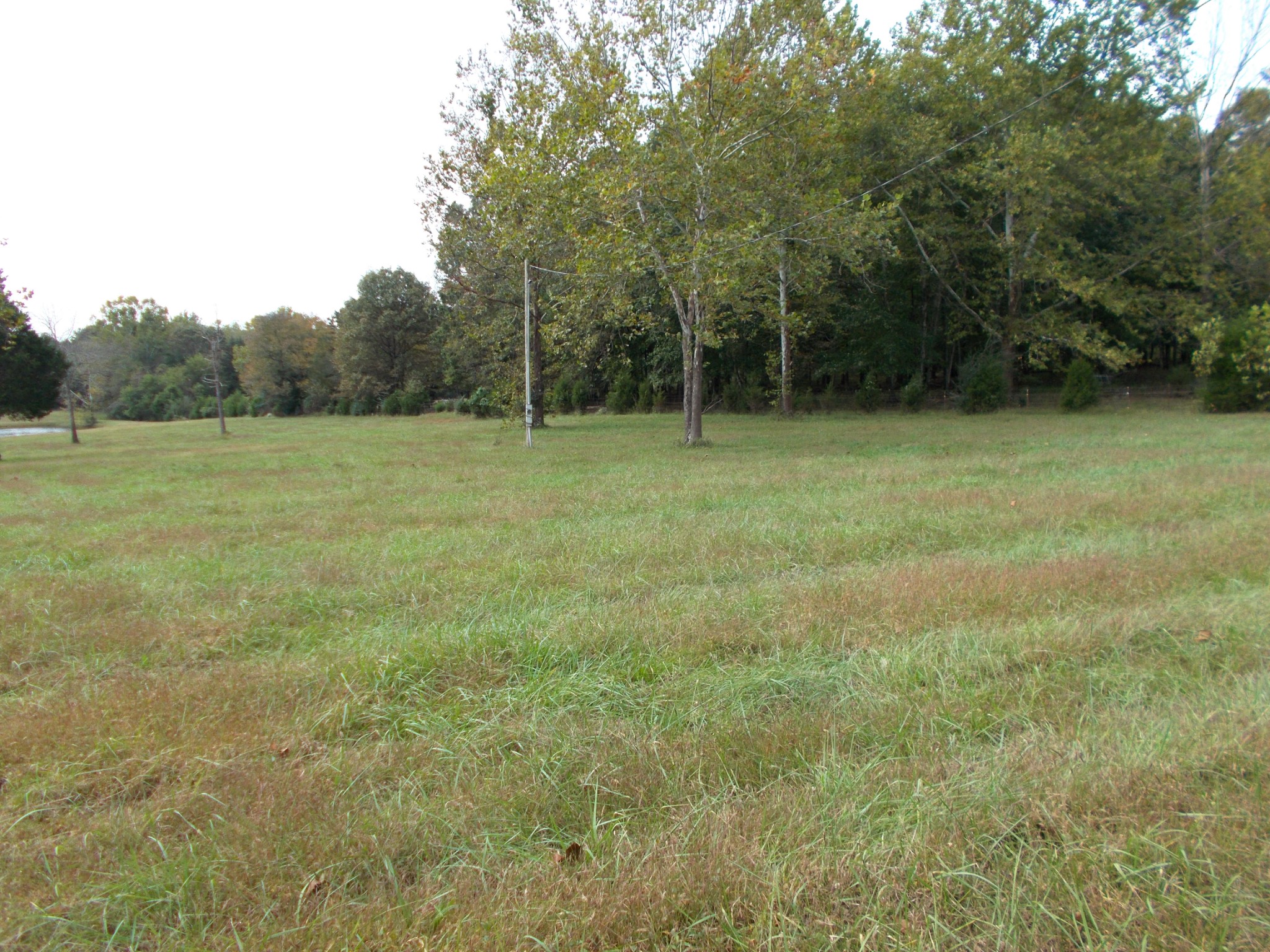 0 Keys Branch Road Nunnelly, TN 37137 - Photo 25 of 25 Gallery Image 25