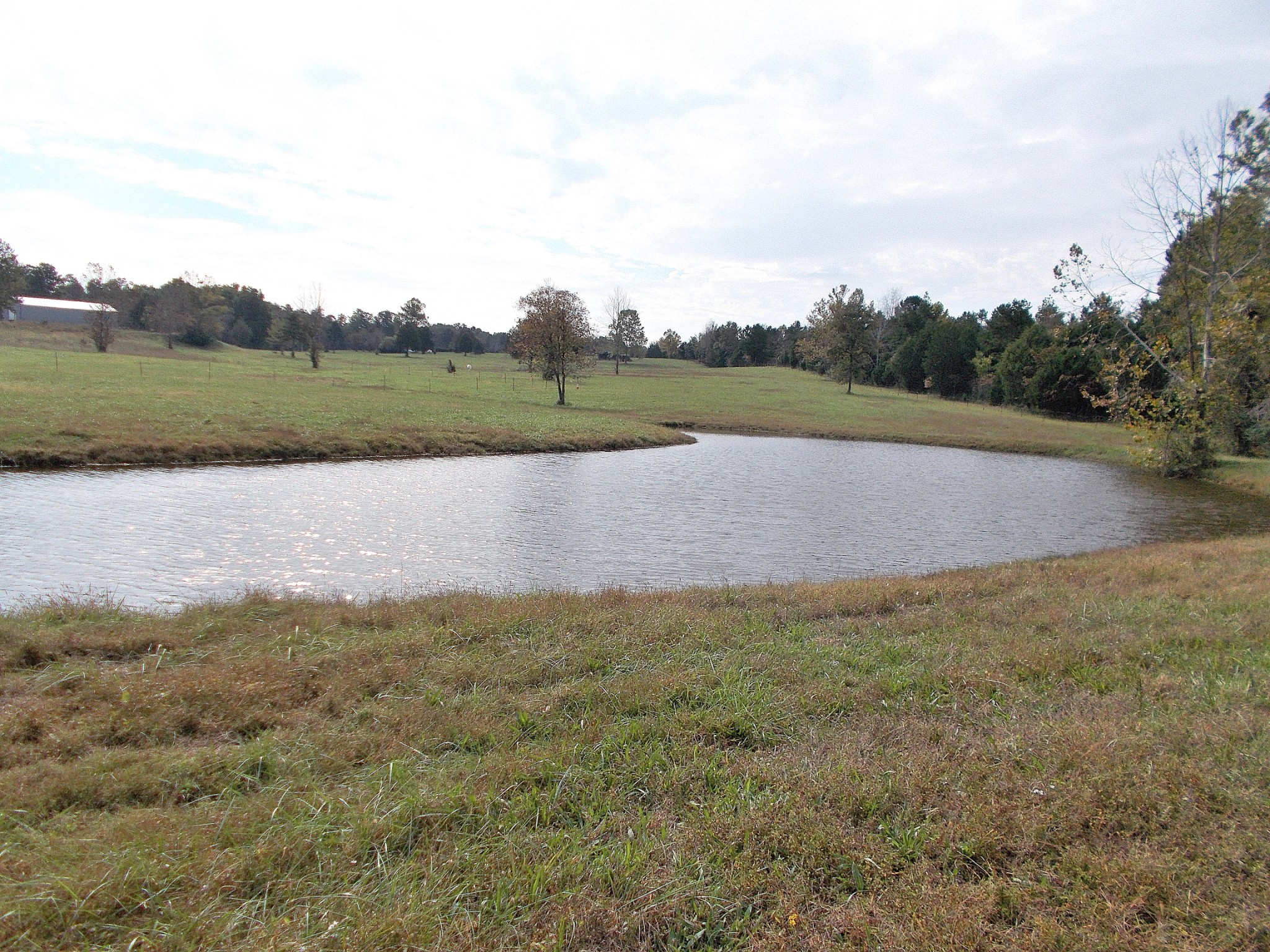 0 Keys Branch Road Nunnelly, TN 37137 - Photo 4 of 25 Gallery Image 4