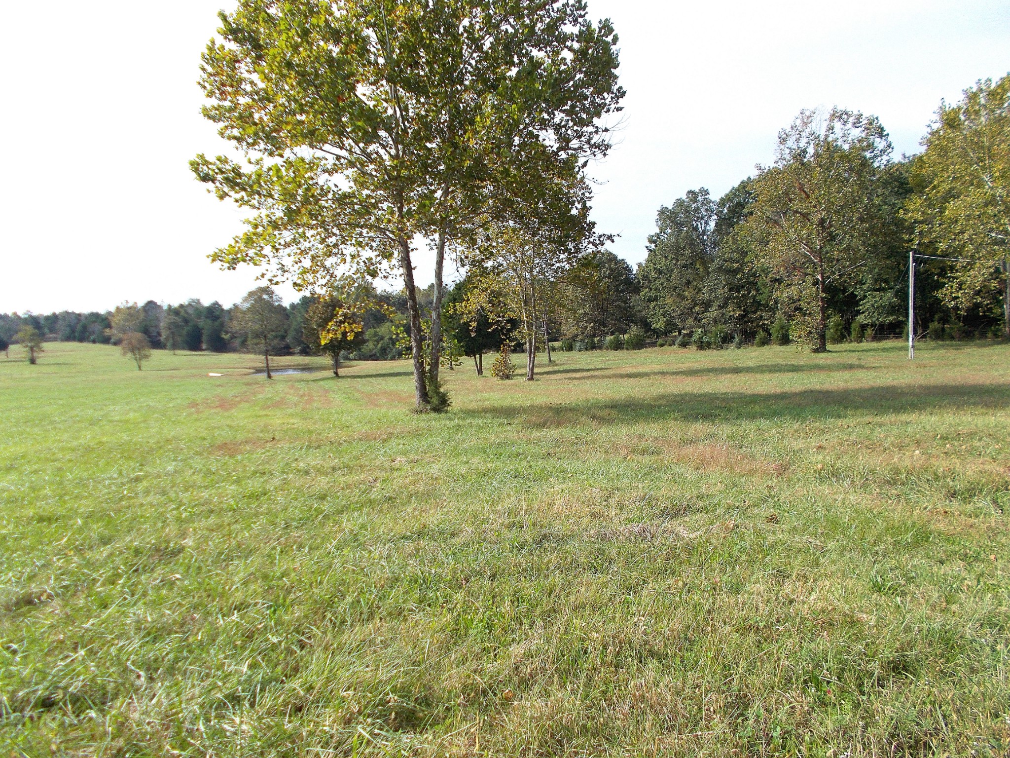 0 Keys Branch Road Nunnelly, TN 37137 - Photo 5 of 25 Gallery Image 5