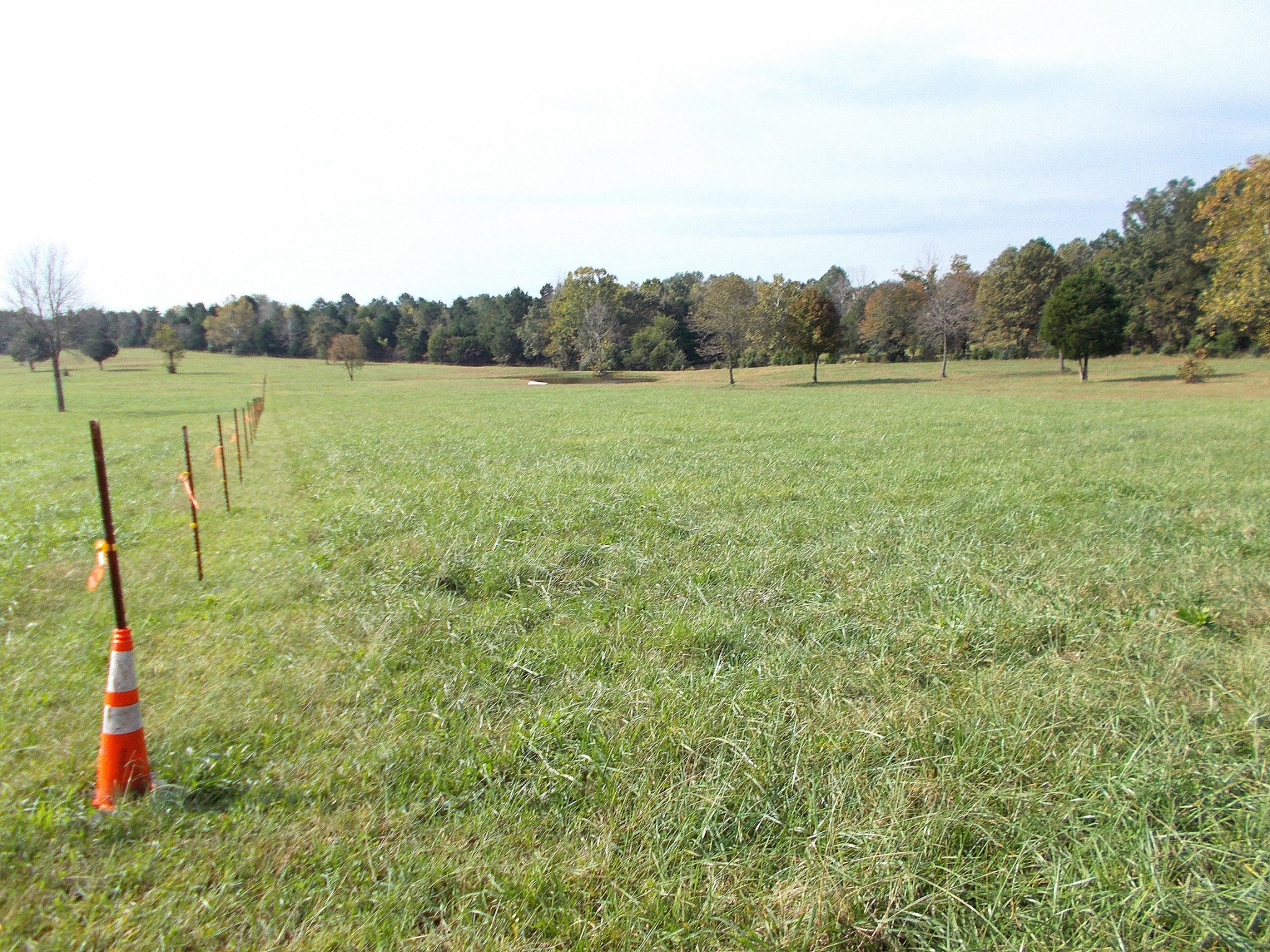 0 Keys Branch Road Nunnelly, TN 37137 - Photo 7 of 25 Gallery Image 7
