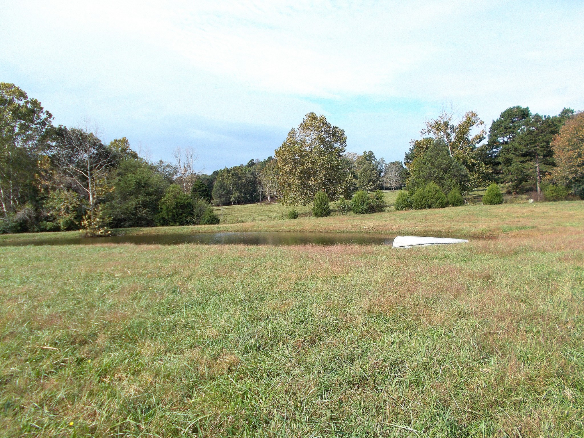 0 Keys Branch Road Nunnelly, TN 37137 - Photo 8 of 25 Gallery Image 8