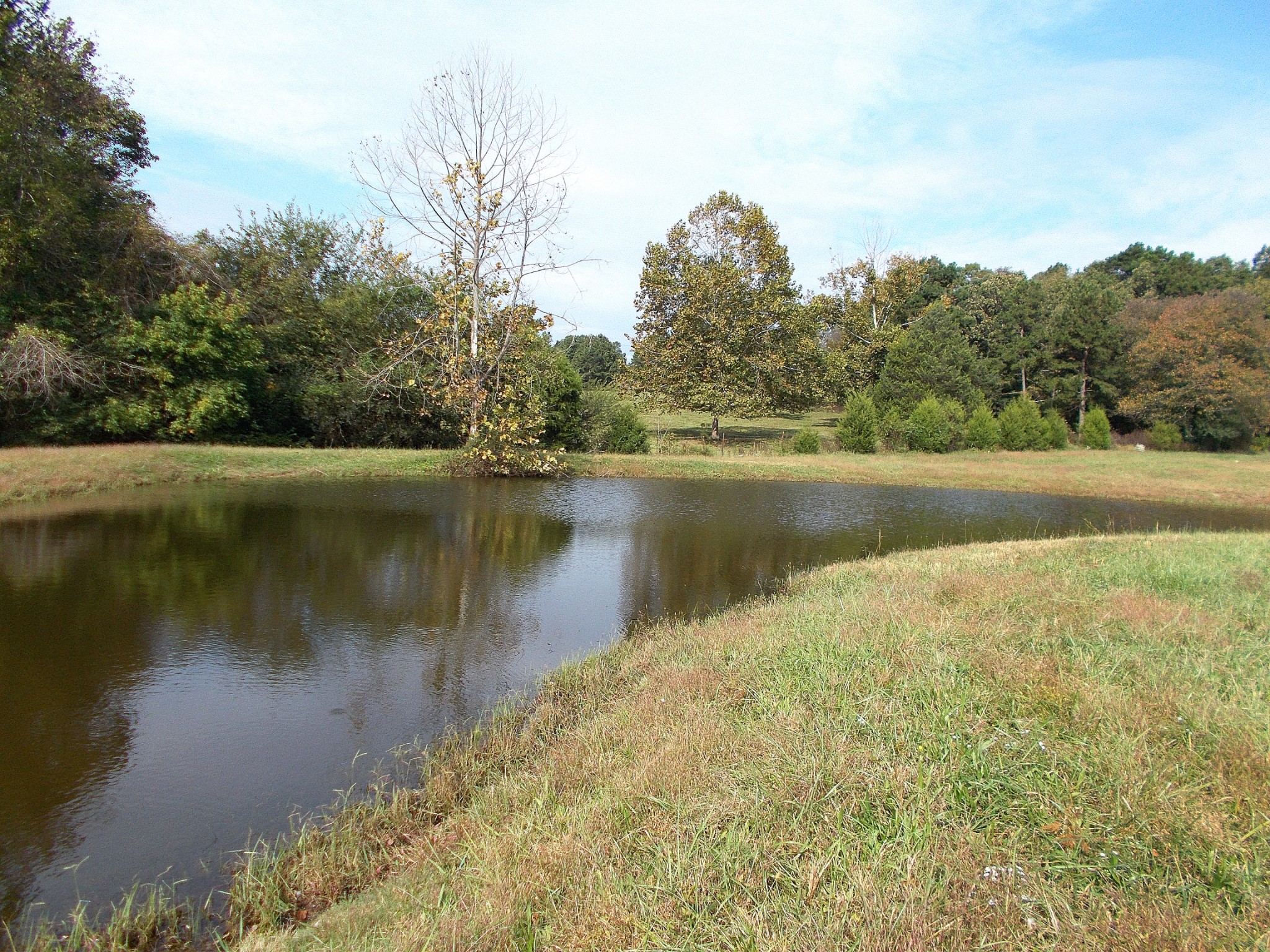 0 Keys Branch Road Nunnelly, TN 37137 - Photo 10 of 25 Gallery Image 10