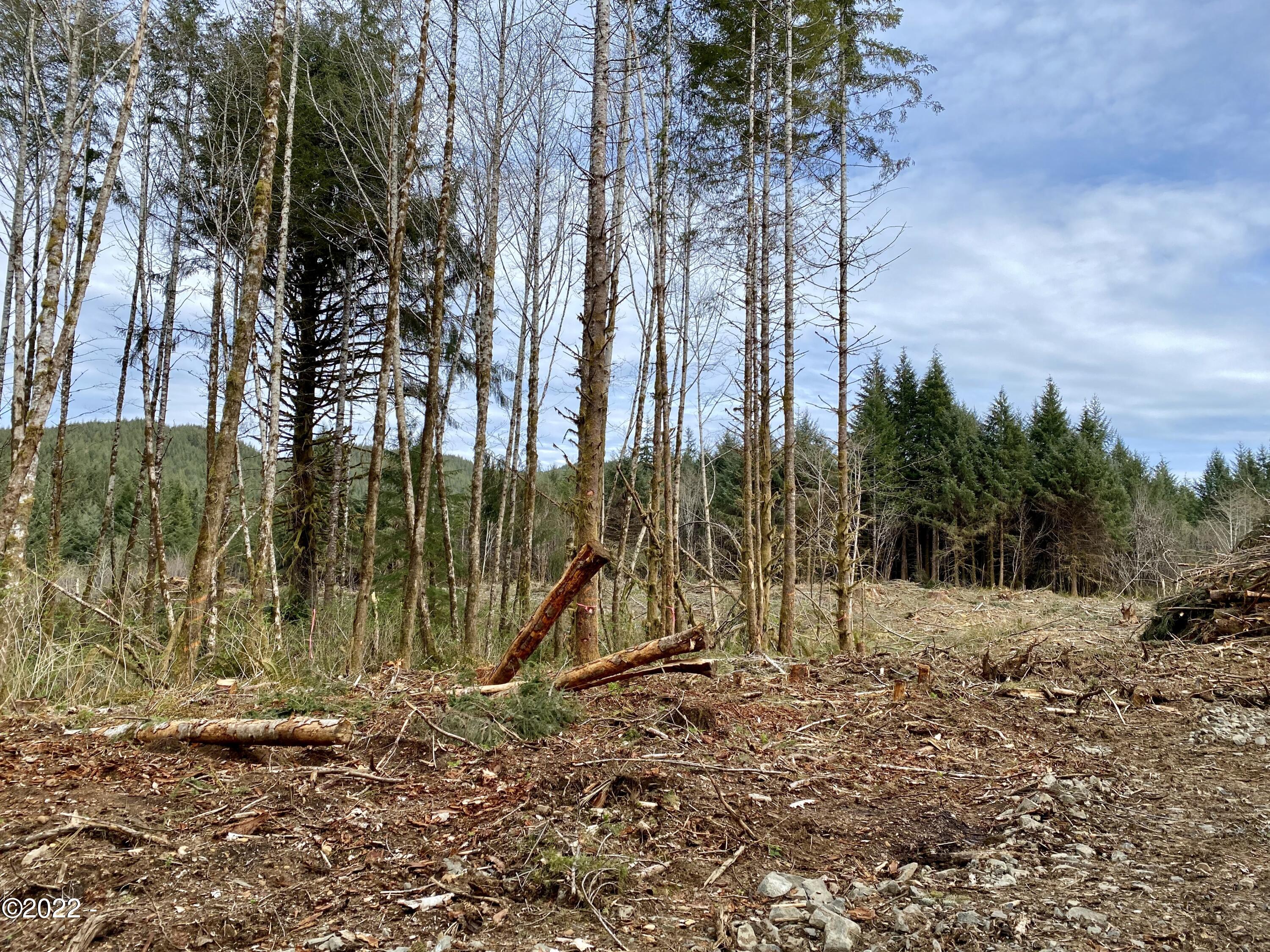Tl700-900 Huhtala Road Siletz, OR 97380 - Photo 12 of 13 TC Land