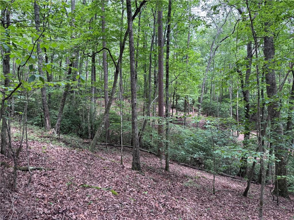 0 Owltown Road Ellijay, GA 30536 - Photo 6 of 15