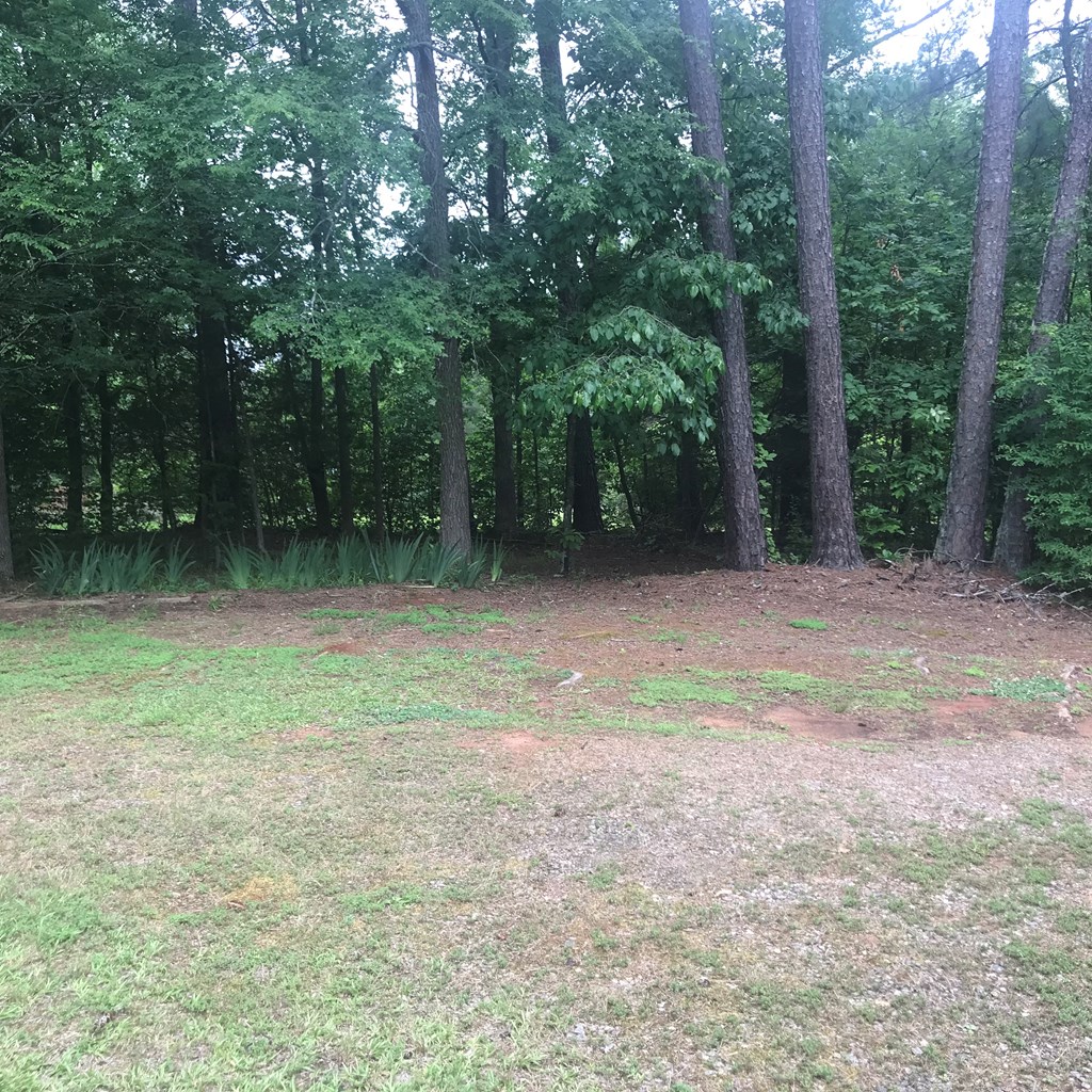 64 Skippers Lodge Road Cross Hill, SC 29332 - Photo 8 of 25 Gallery Image 8