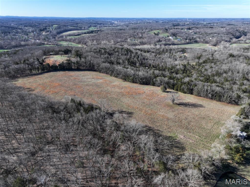 0 Scanlon Drive Festus, MO 63028 - Photo 11 of 24