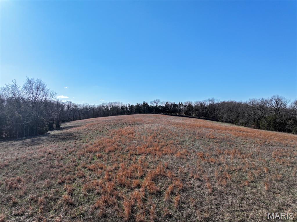 0 Scanlon Drive Festus, MO 63028 - Photo 12 of 24