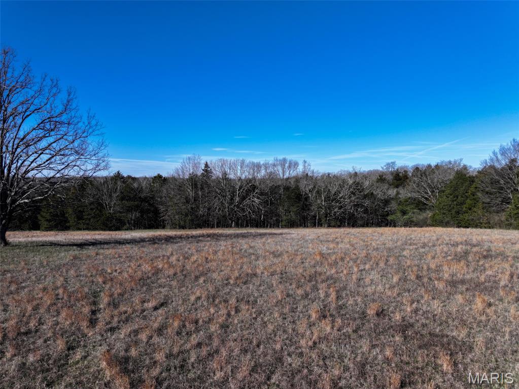 0 Scanlon Drive Festus, MO 63028 - Photo 13 of 24