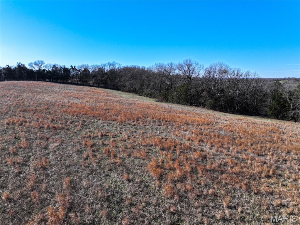 0 Scanlon Drive Festus, MO 63028 - Photo 15 of 24