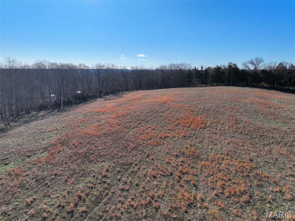 0 Scanlon Drive Festus, MO 63028 - Photo 17 of 24