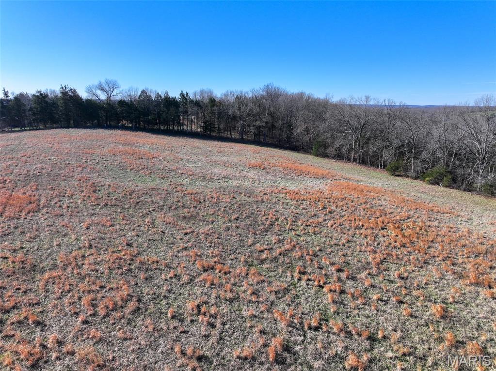 0 Scanlon Drive Festus, MO 63028 - Photo 18 of 24