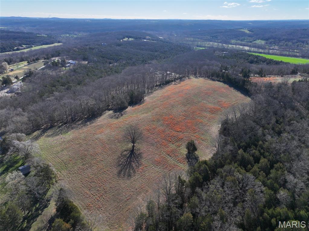 0 Scanlon Drive Festus, MO 63028 - Photo 2 of 24