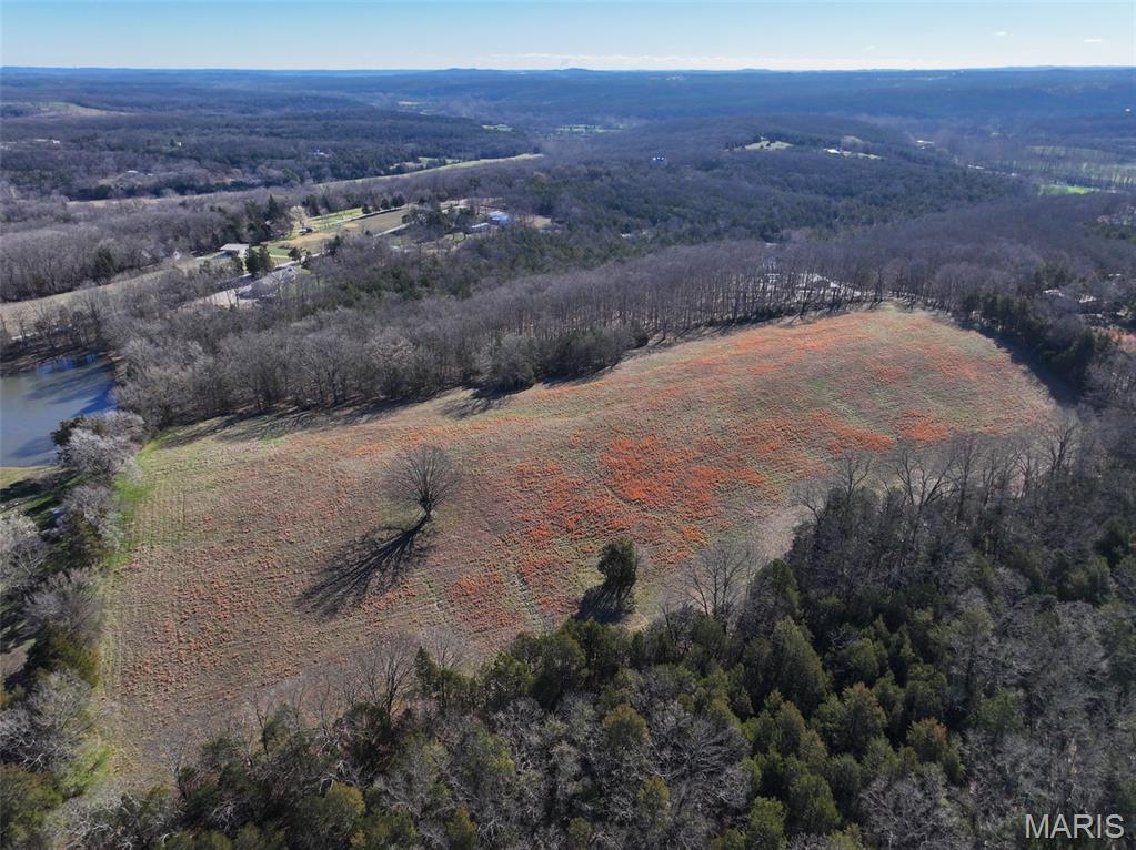 0 Scanlon Drive Festus, MO 63028 - Photo 3 of 24