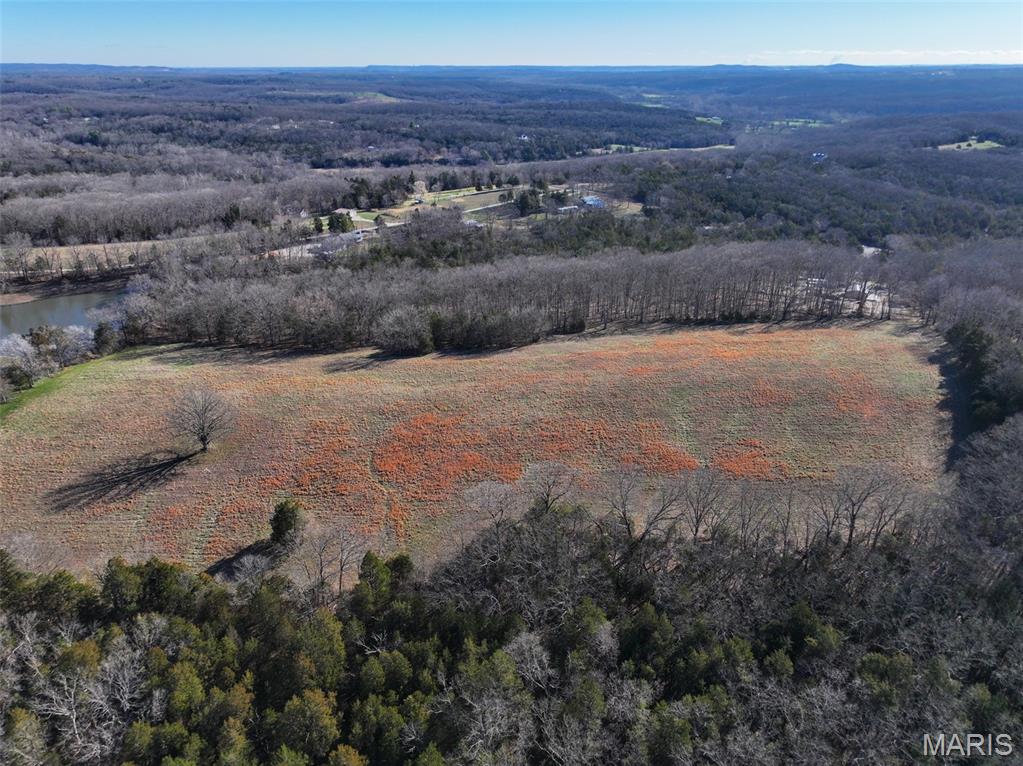 0 Scanlon Drive Festus, MO 63028 - Photo 4 of 24