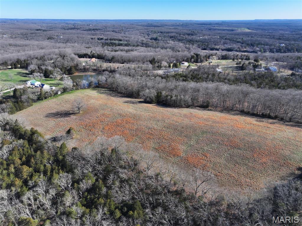 0 Scanlon Drive Festus, MO 63028 - Photo 5 of 24