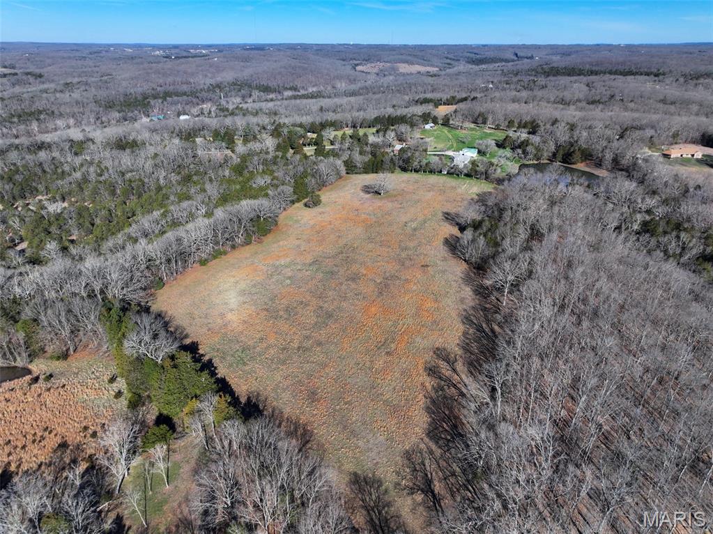 0 Scanlon Drive Festus, MO 63028 - Photo 7 of 24