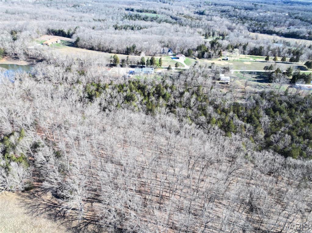 0 Scanlon Drive Festus, MO 63028 - Photo 8 of 24