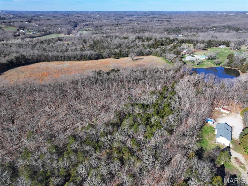 0 Scanlon Drive Festus, MO 63028 - Photo 9 of 24