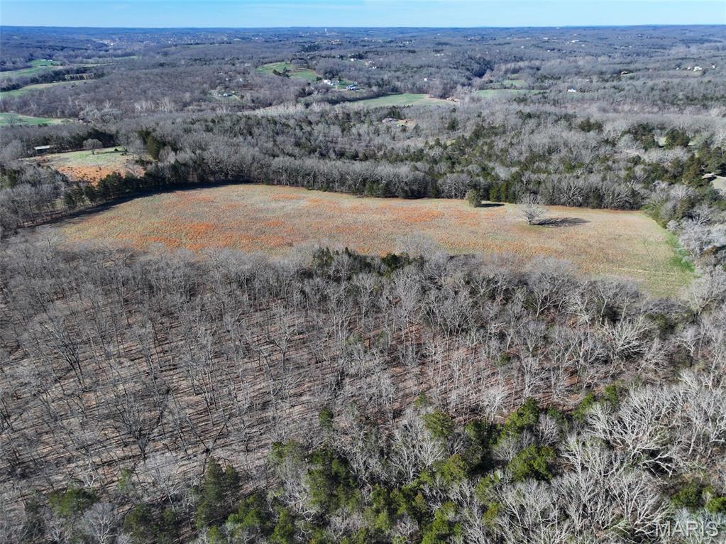 0 Scanlon Drive Festus, MO 63028 - Photo 10 of 24