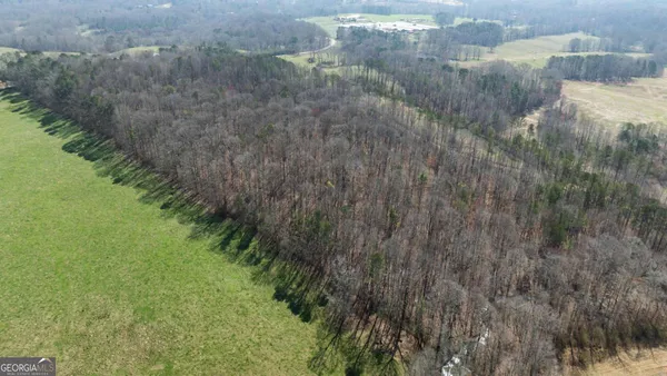 $299,000 | 0 Lovvorn Mill Road, Bowdon, GA 30108