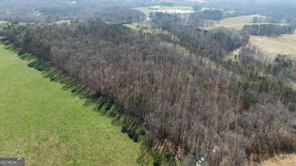 0 Lovvorn Mill Road Bowdon, GA 30108 - Photo 11 of 18