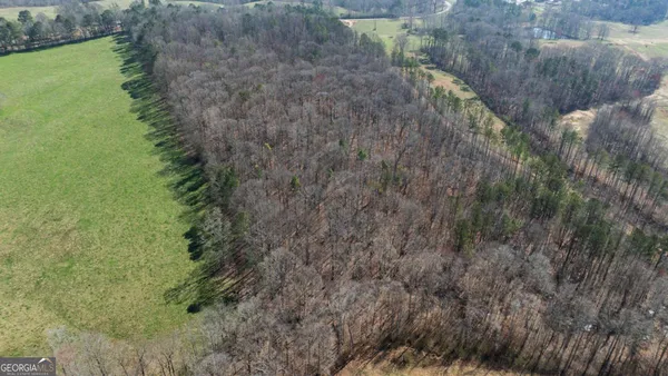 $299,000 | 0 Lovvorn Mill Road, Bowdon, GA 30108