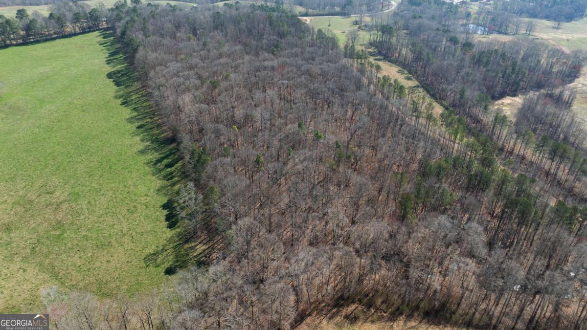 0 Lovvorn Mill Road Bowdon, GA 30108 - Photo 12 of 18