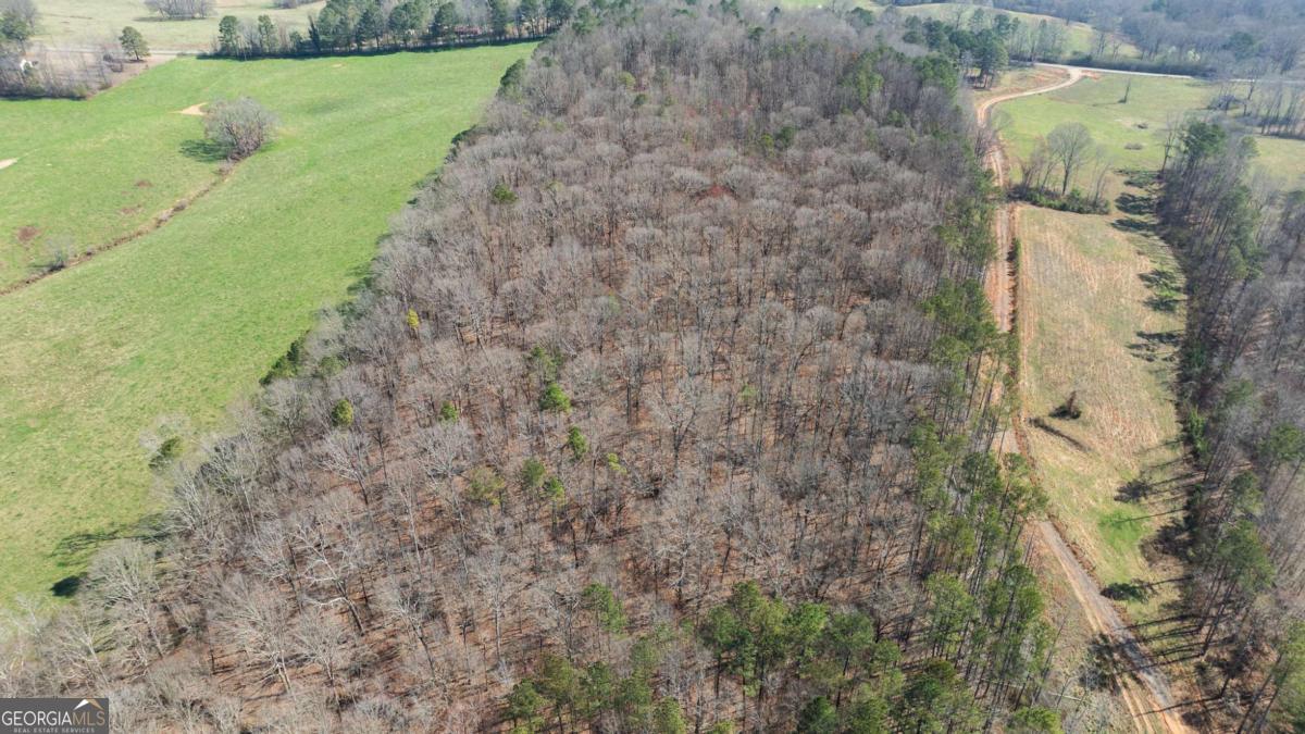 0 Lovvorn Mill Road Bowdon, GA 30108 - Photo 13 of 18