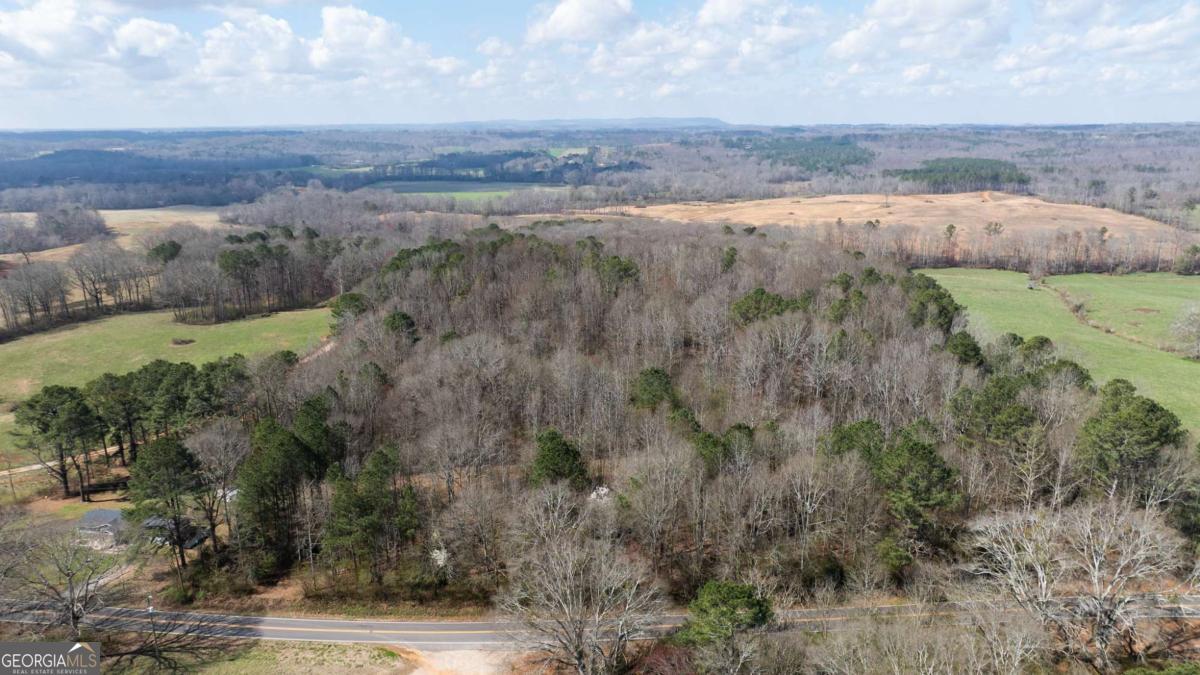 0 Lovvorn Mill Road Bowdon, GA 30108 - Photo 16 of 18