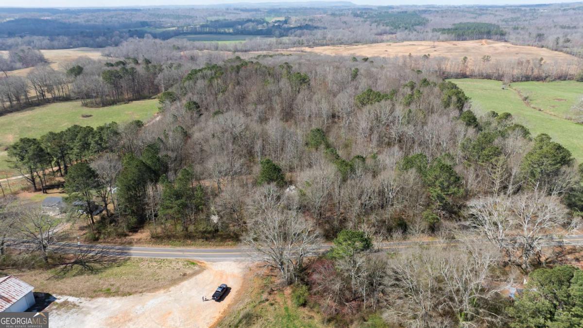 0 Lovvorn Mill Road Bowdon, GA 30108 - Photo 17 of 18