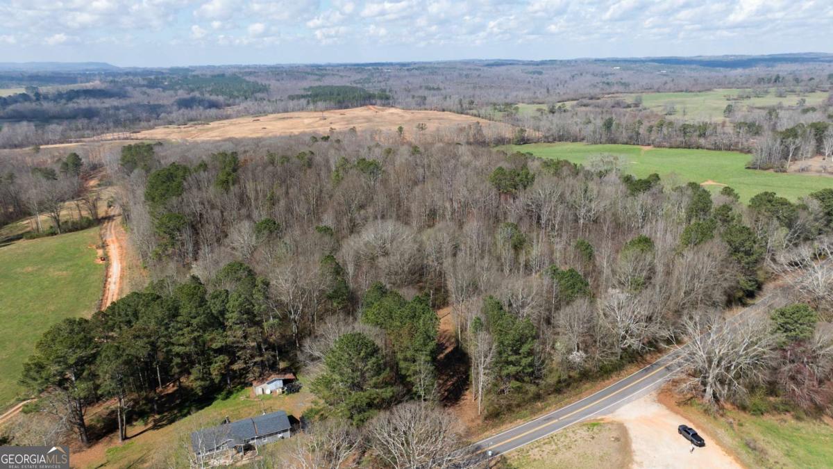 0 Lovvorn Mill Road Bowdon, GA 30108 - Photo 18 of 18