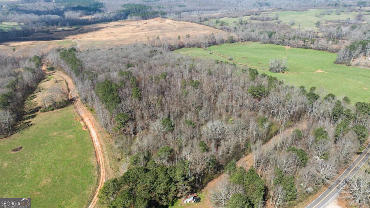 0 Lovvorn Mill Road Bowdon, GA 30108 - Photo 3 of 18