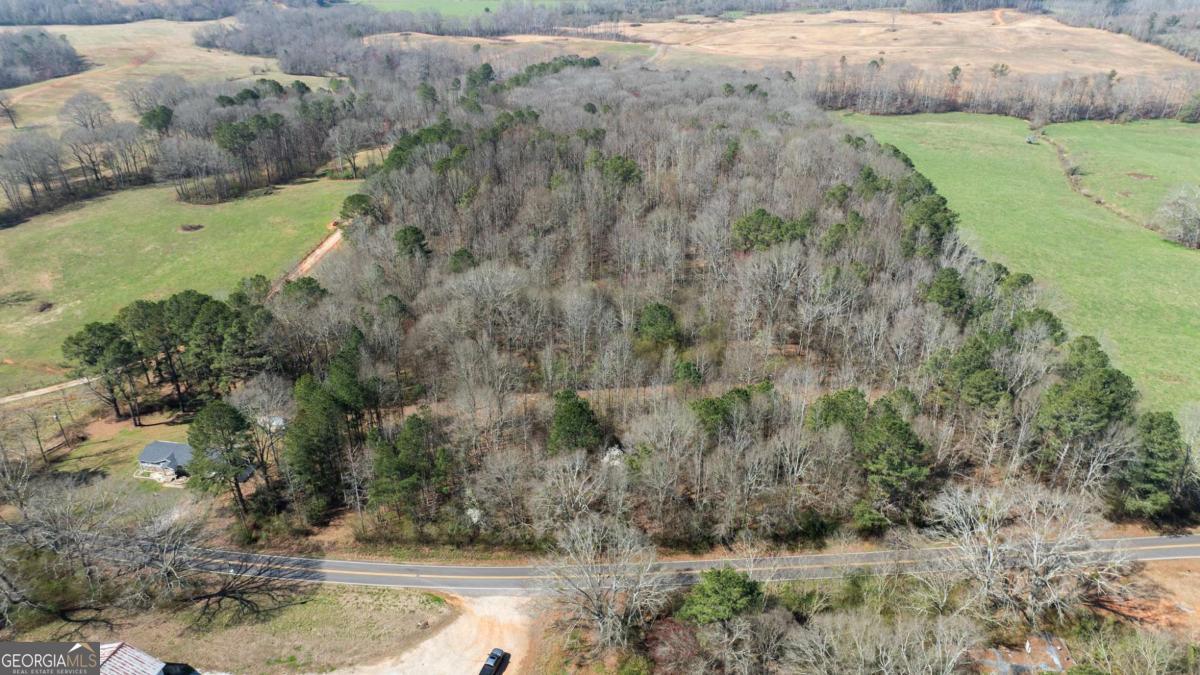 0 Lovvorn Mill Road Bowdon, GA 30108 - Photo 4 of 18