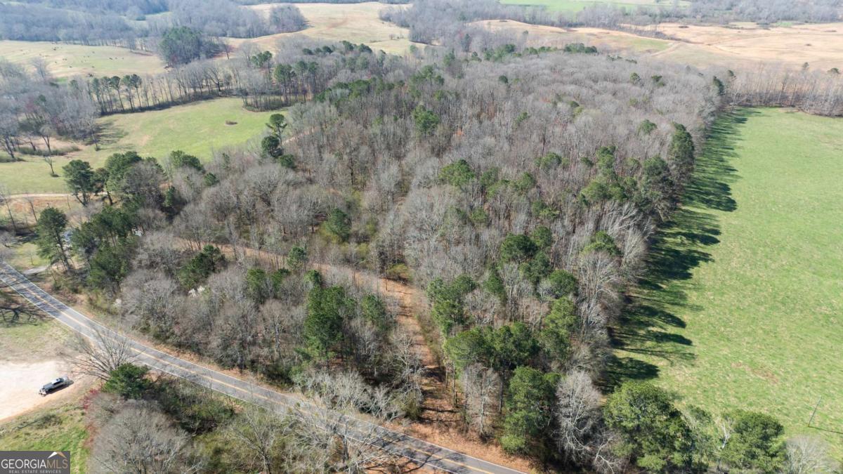 0 Lovvorn Mill Road Bowdon, GA 30108 - Photo 5 of 18