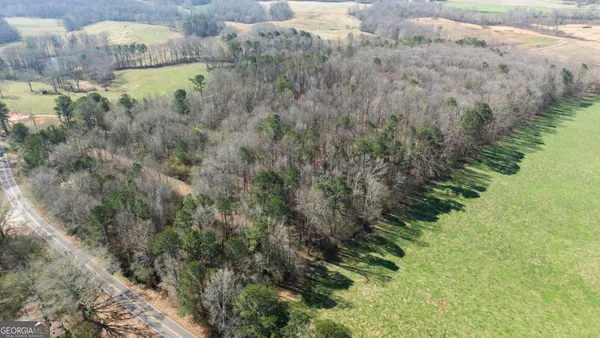 $299,000 | 0 Lovvorn Mill Road, Bowdon, GA 30108