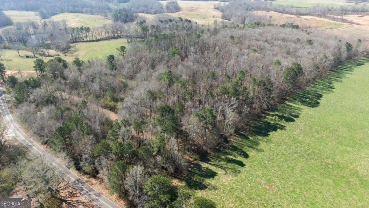 0 Lovvorn Mill Road Bowdon, GA 30108 - Photo 6 of 18