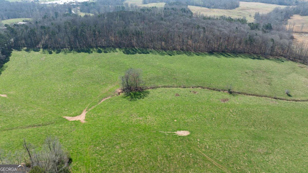 0 Lovvorn Mill Road Bowdon, GA 30108 - Photo 8 of 18