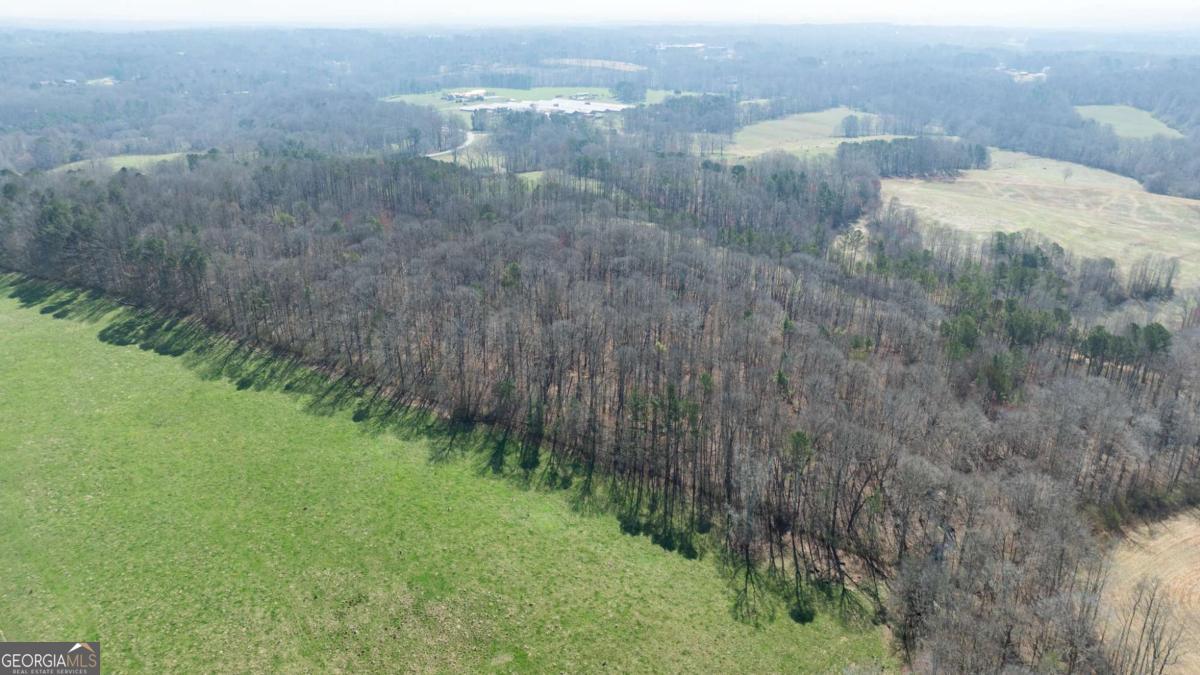 0 Lovvorn Mill Road Bowdon, GA 30108 - Photo 10 of 18