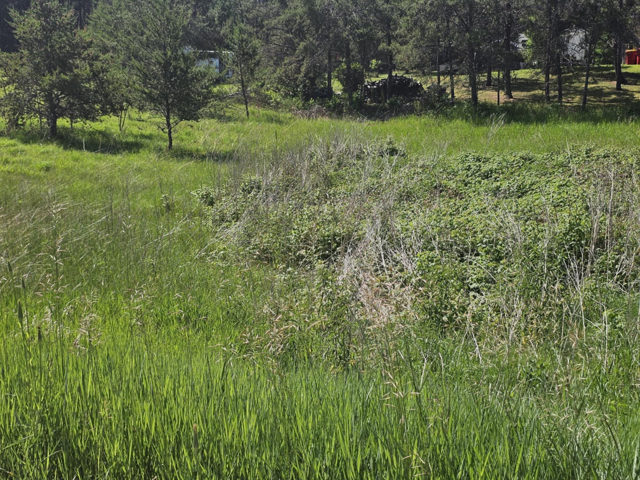 Tbd 1st Avenue Breezy Point, MN 56472 - Photo 4 of 7