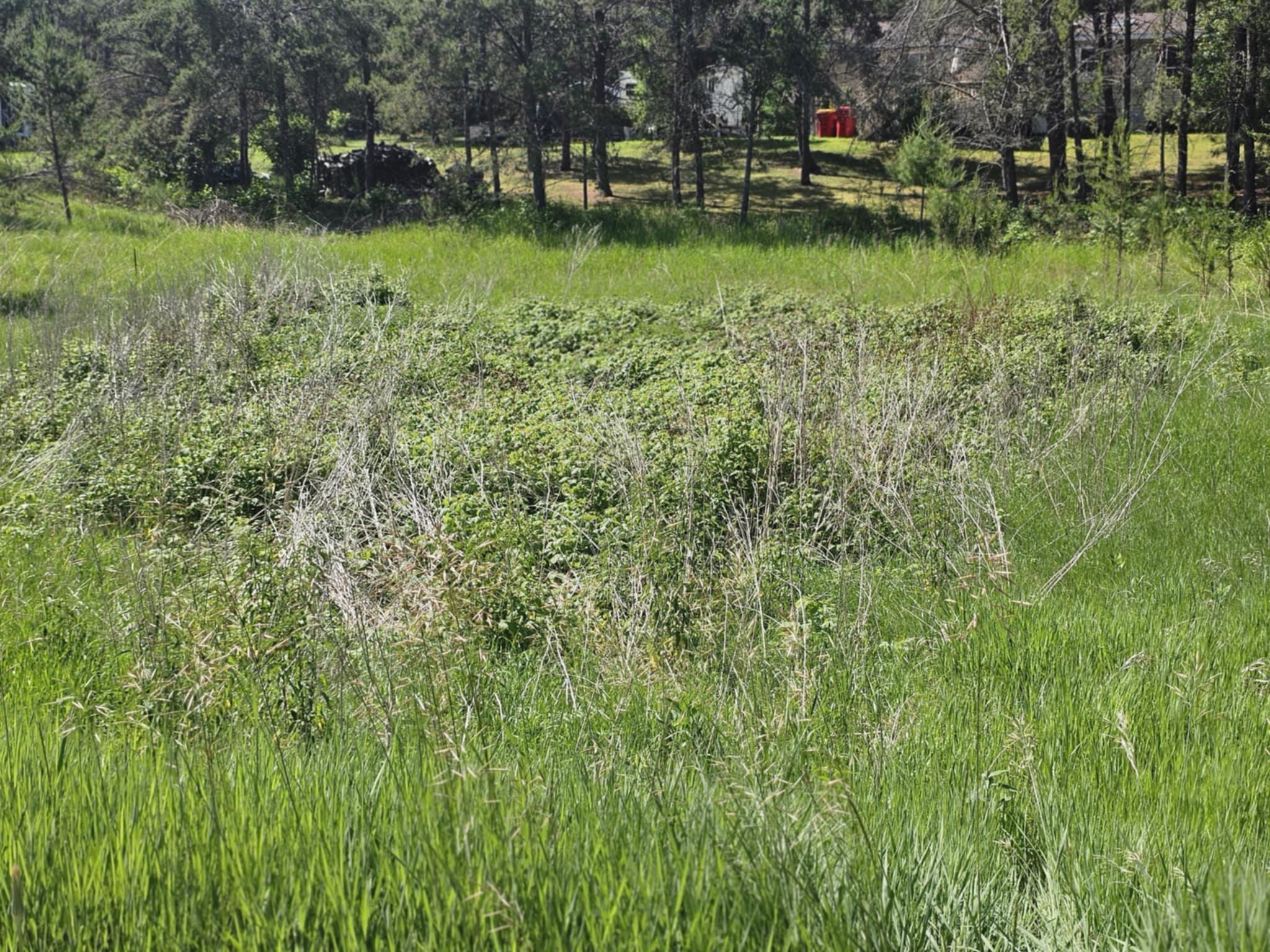 Tbd 1st Avenue Breezy Point, MN 56472 - Photo 5 of 7