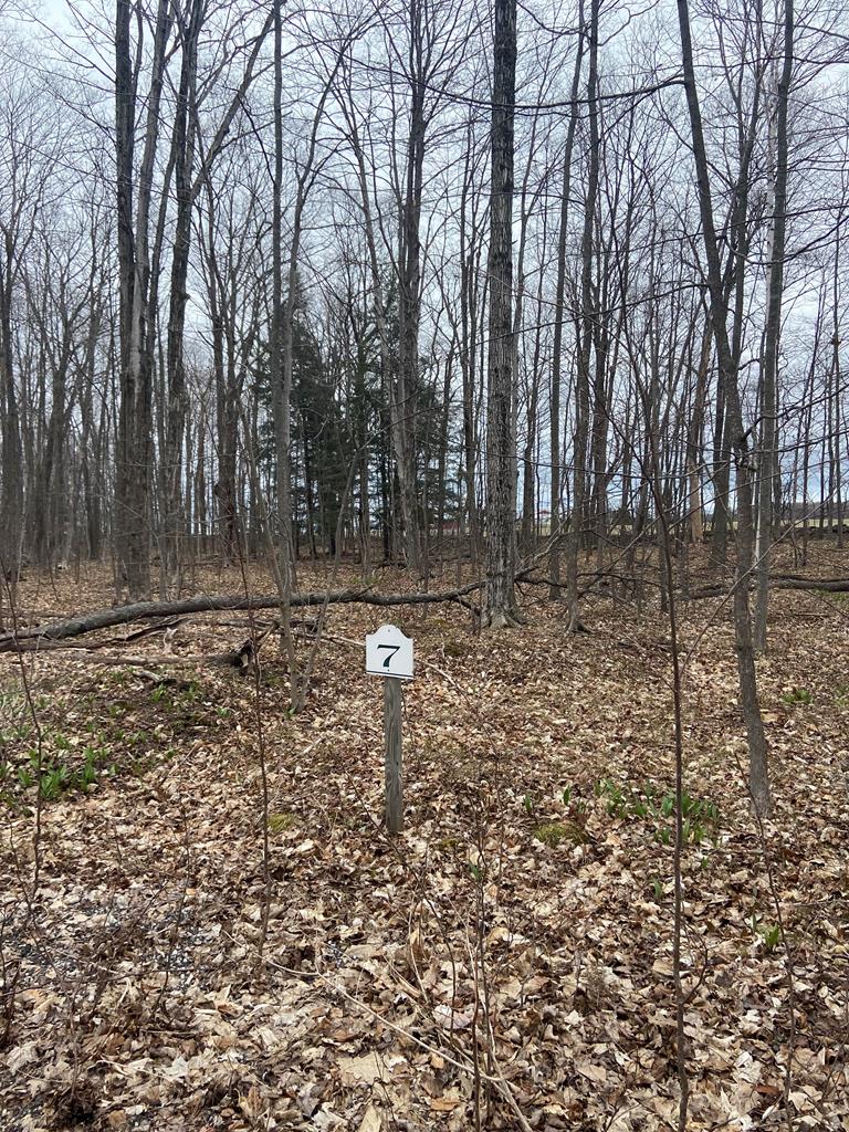 Lot 7 Heritage Meadows Road Egg Harbor, WI 54209 - Photo 1 of 3