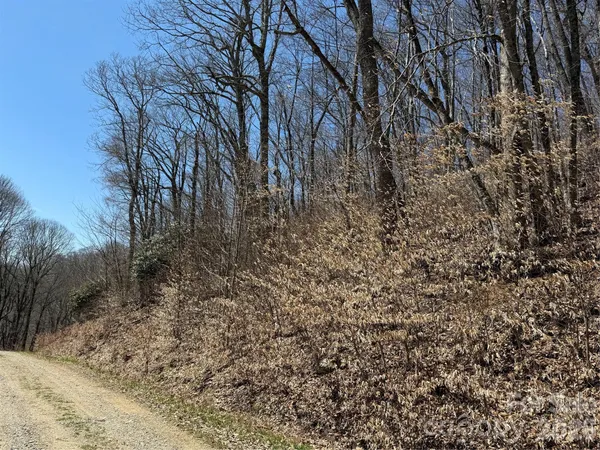 $48,000 | 0 Granny Shepherd Road, Unit LOT 2, Mars Hill, NC 28754