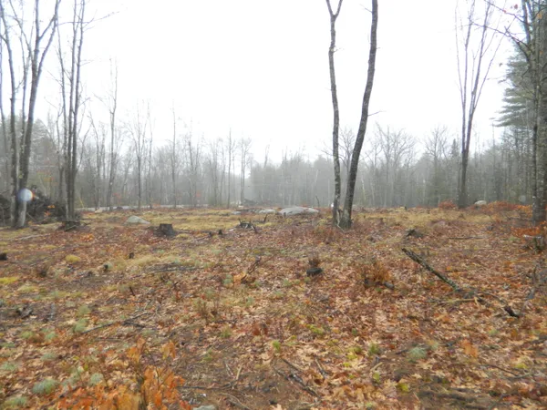 $114,900 | 0 Owls Nest Road, Shapleigh, ME 04076