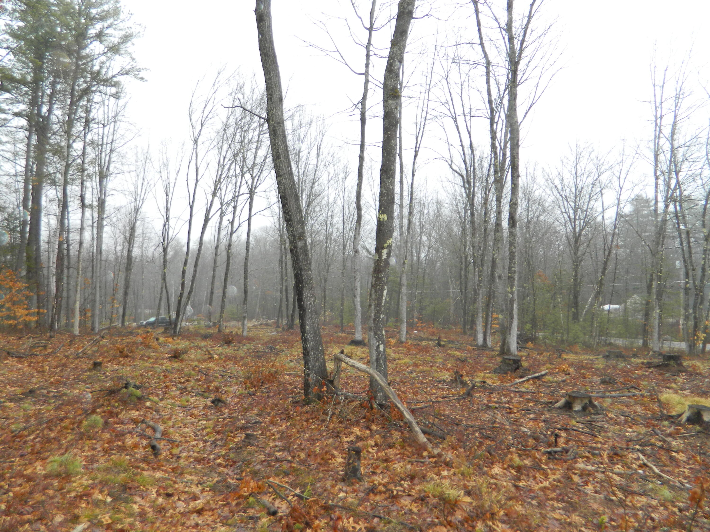 0 Owls Nest Road Shapleigh, ME 04076 - Photo 3 of 9 DSCN0019