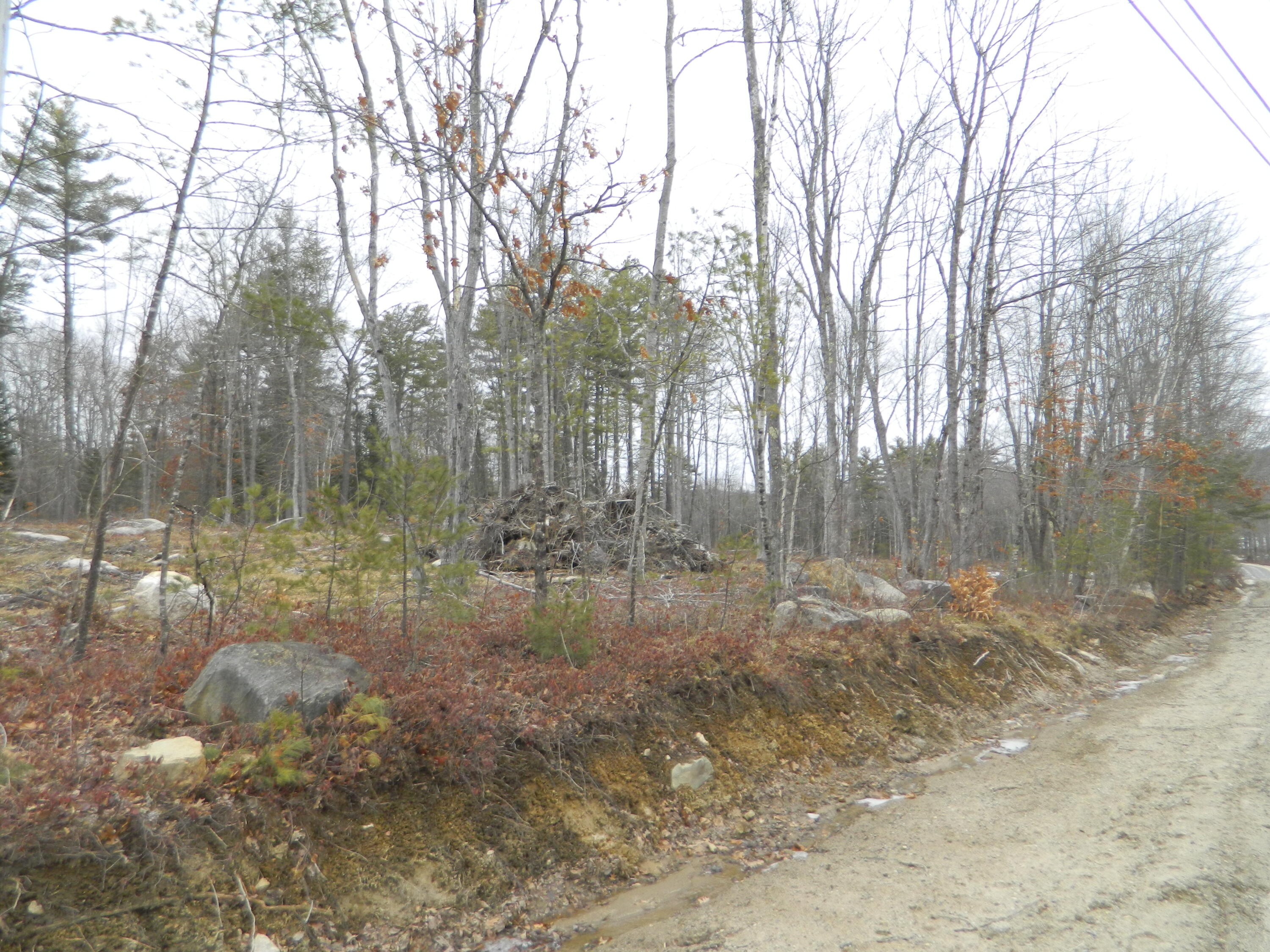 0 Owls Nest Road Shapleigh, ME 04076 - Photo 4 of 9 DSCN0017