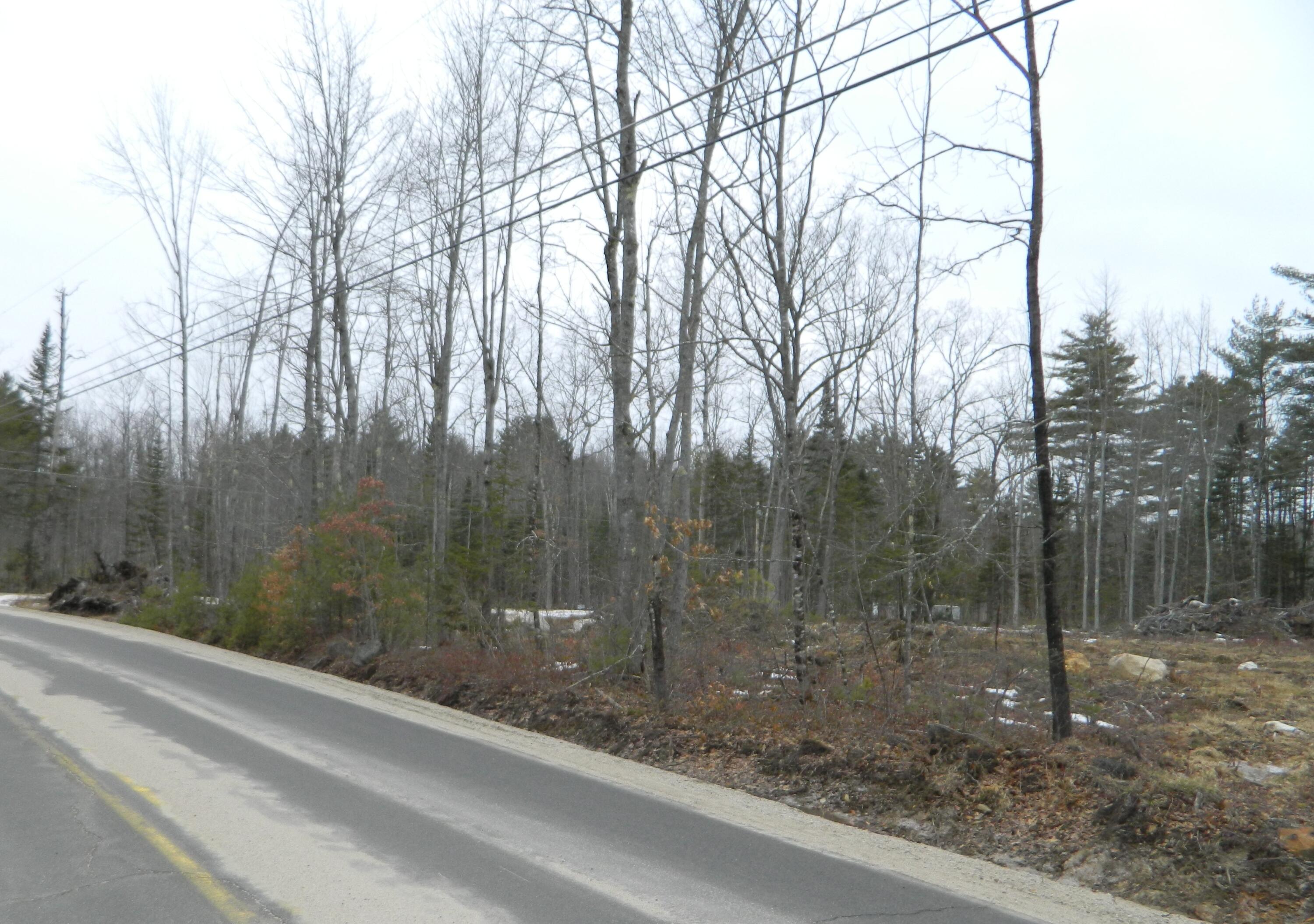 0 Owls Nest Road Shapleigh, ME 04076 - Photo 9 of 9 Road Frontage - Owl's Nest