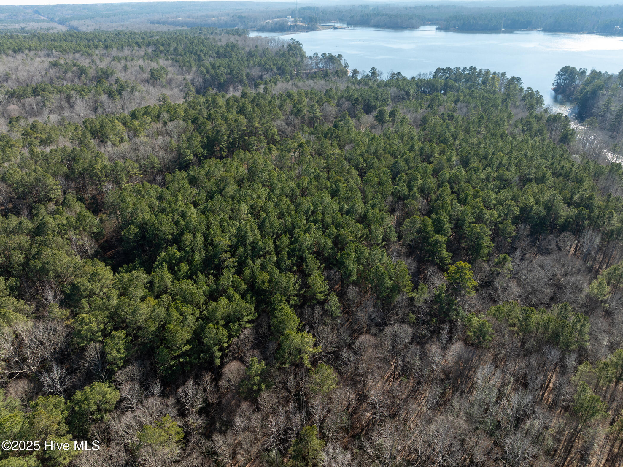141 North State Lane Rockingham, NC 28379 - Photo 11 of 17 141 N State Ln